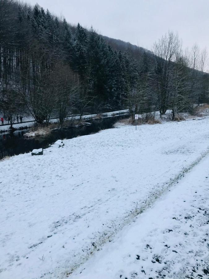 Ferienwohnung Losenberg Olsberg Eksteriør bilde